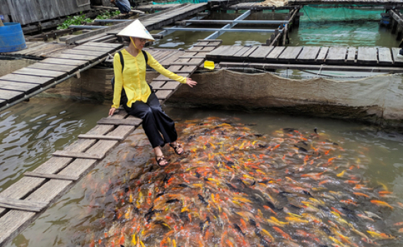 Nơi chân du khách không bao giờ chạm đất ở Cần Thơ